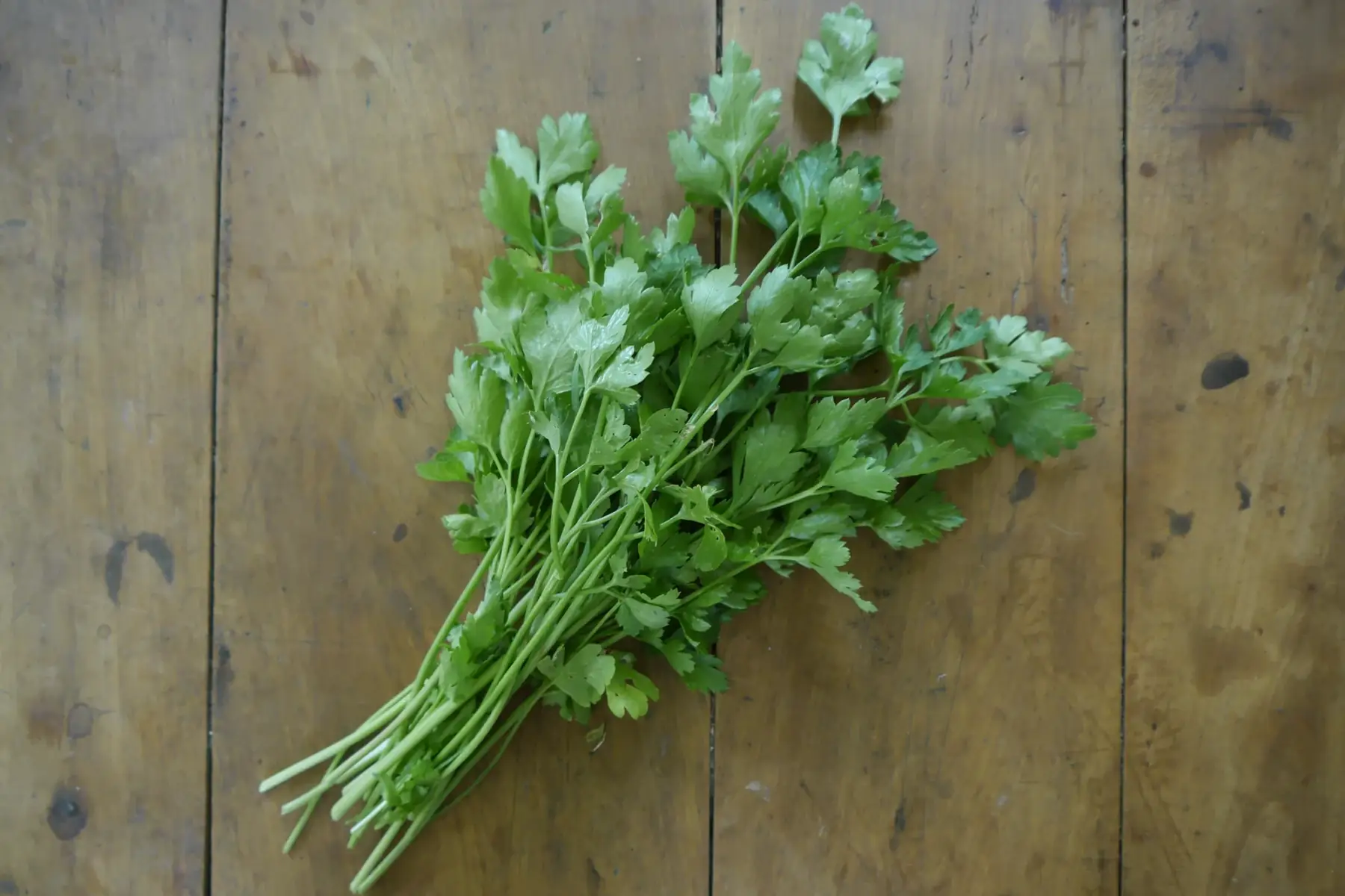 Aux Jardins du Thi'Bio