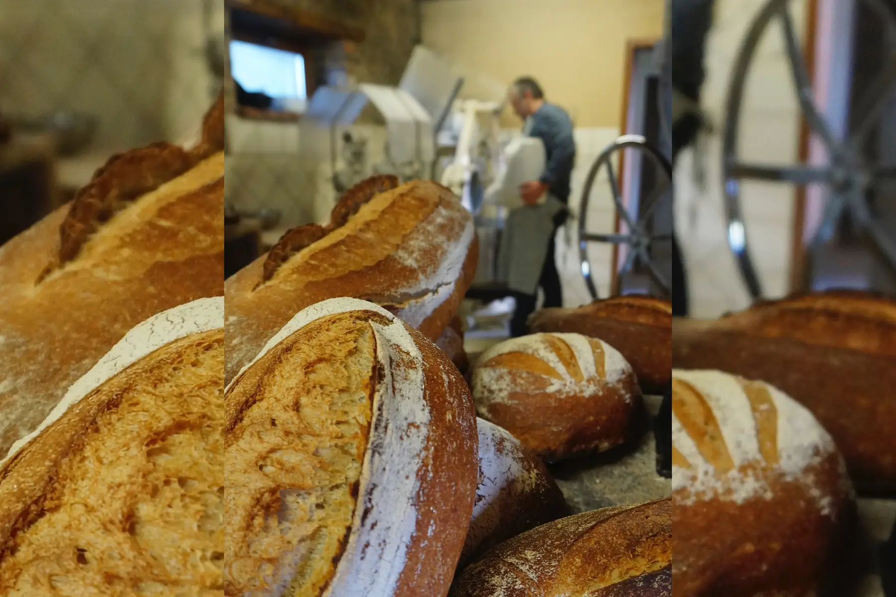 pain blé nature non moulé