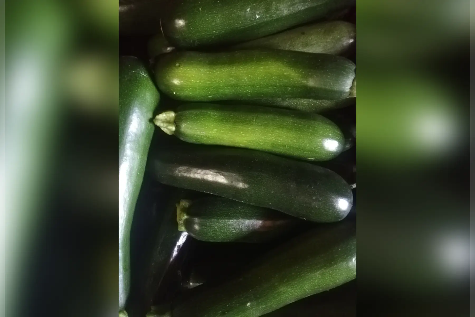 courgettes