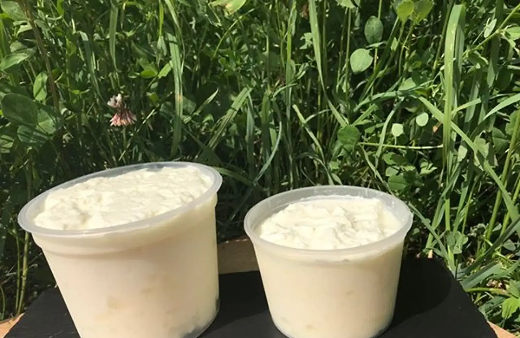 fromage blanc 250g ou 500g