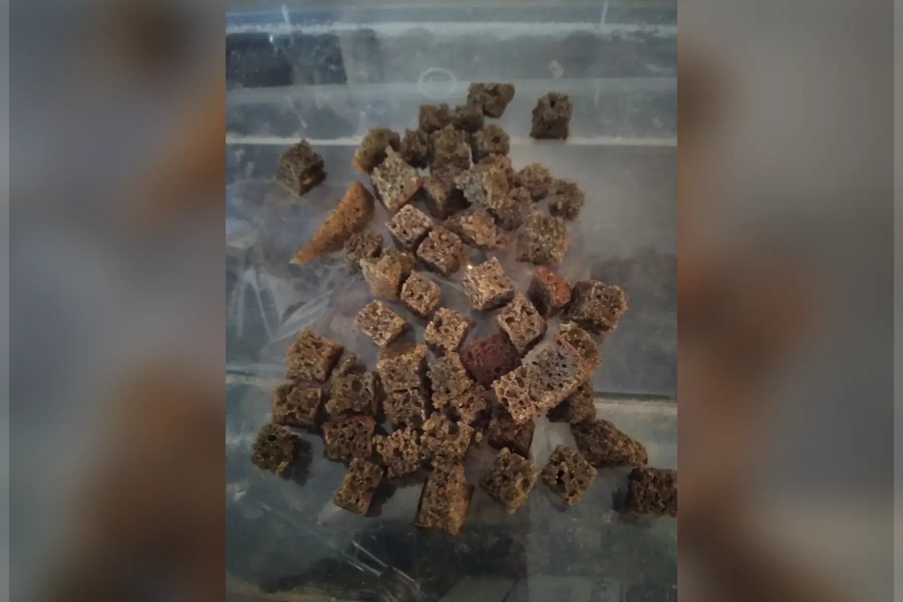 croutons de sarrasin