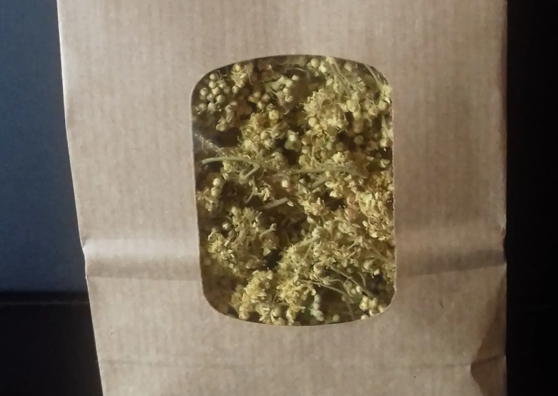 plante seche- reine des pres