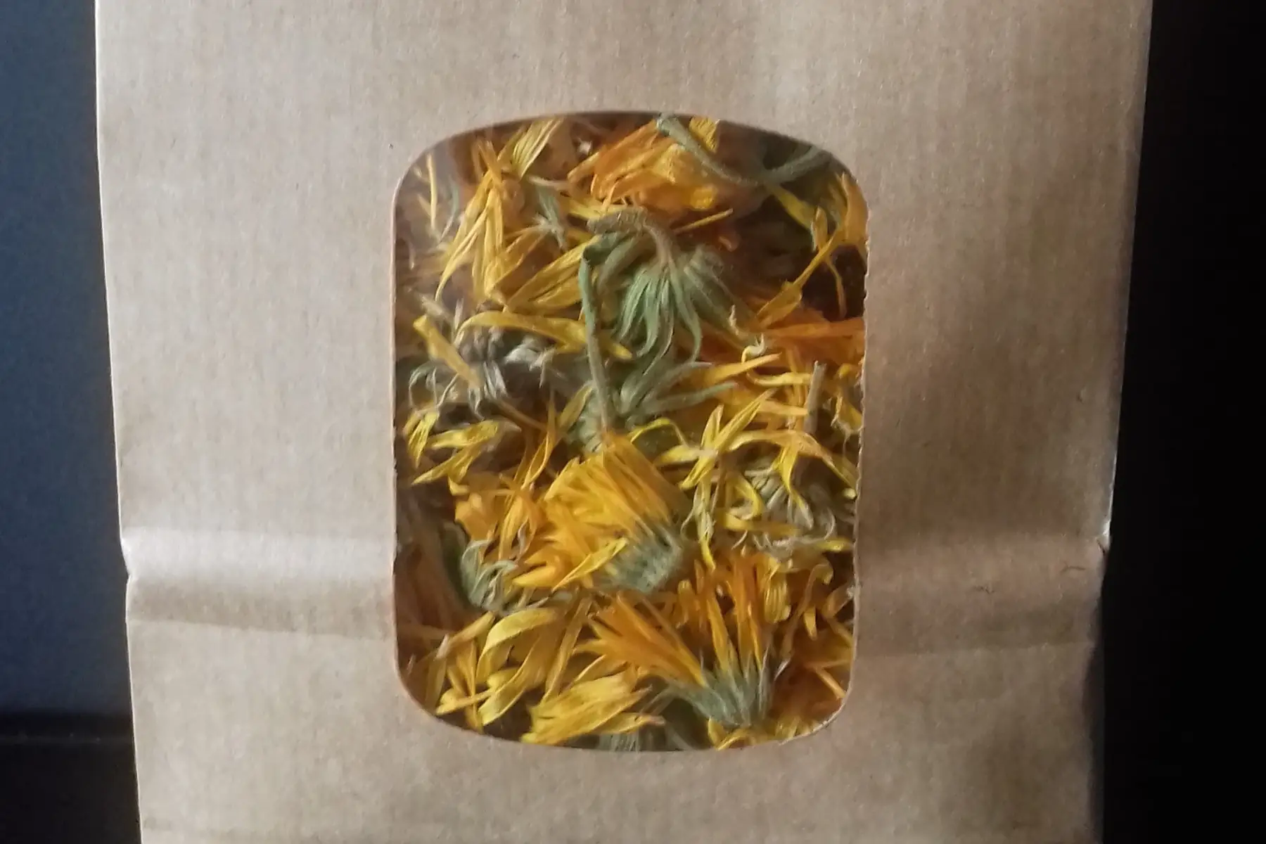 plante seche - calendula