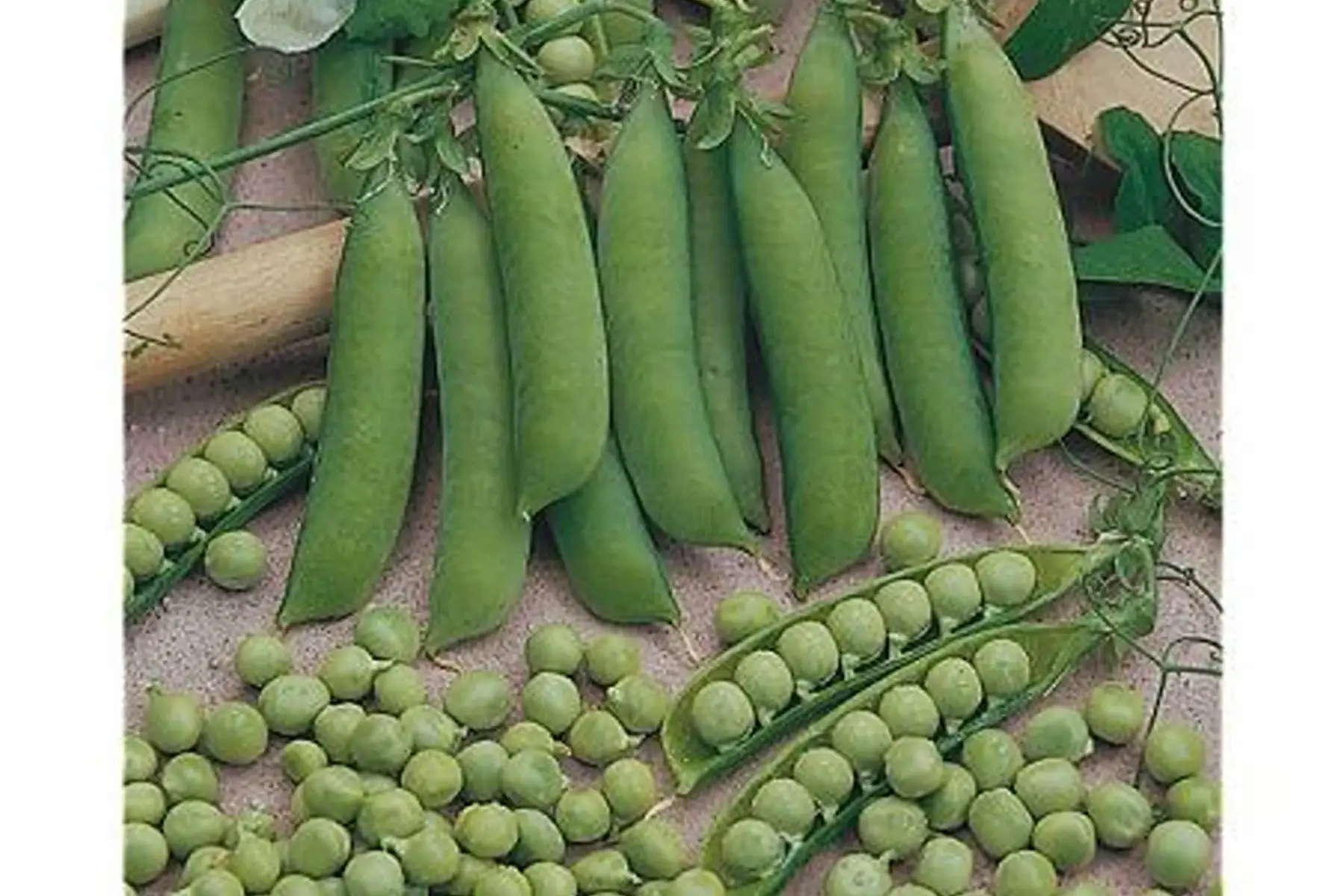 pois à écosser