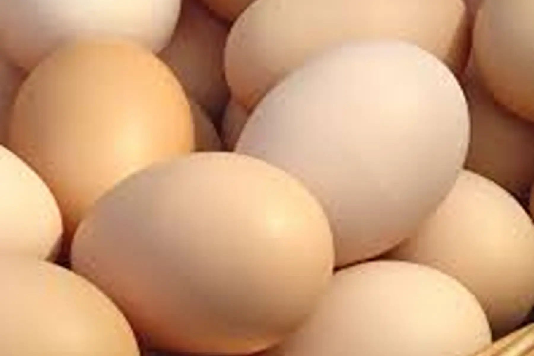 oeufs
