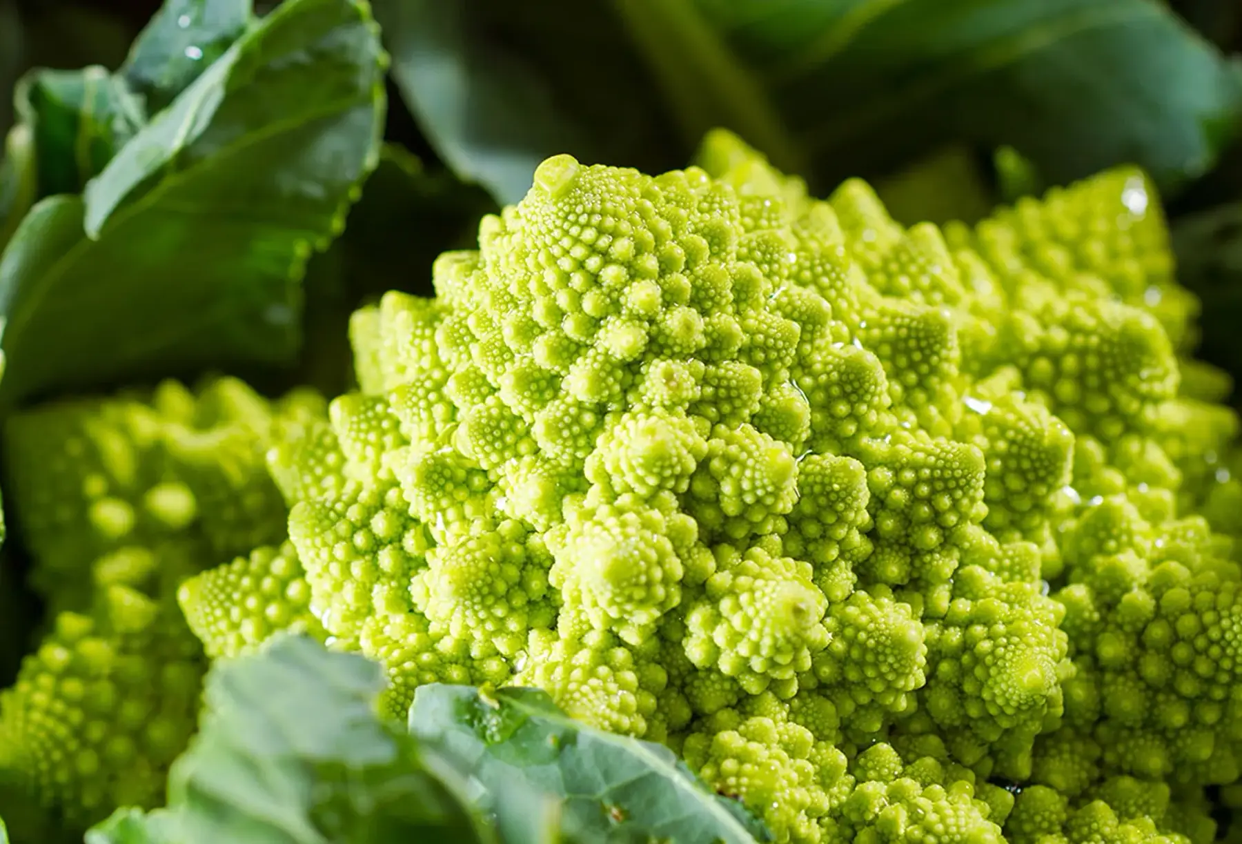 chou romanesco