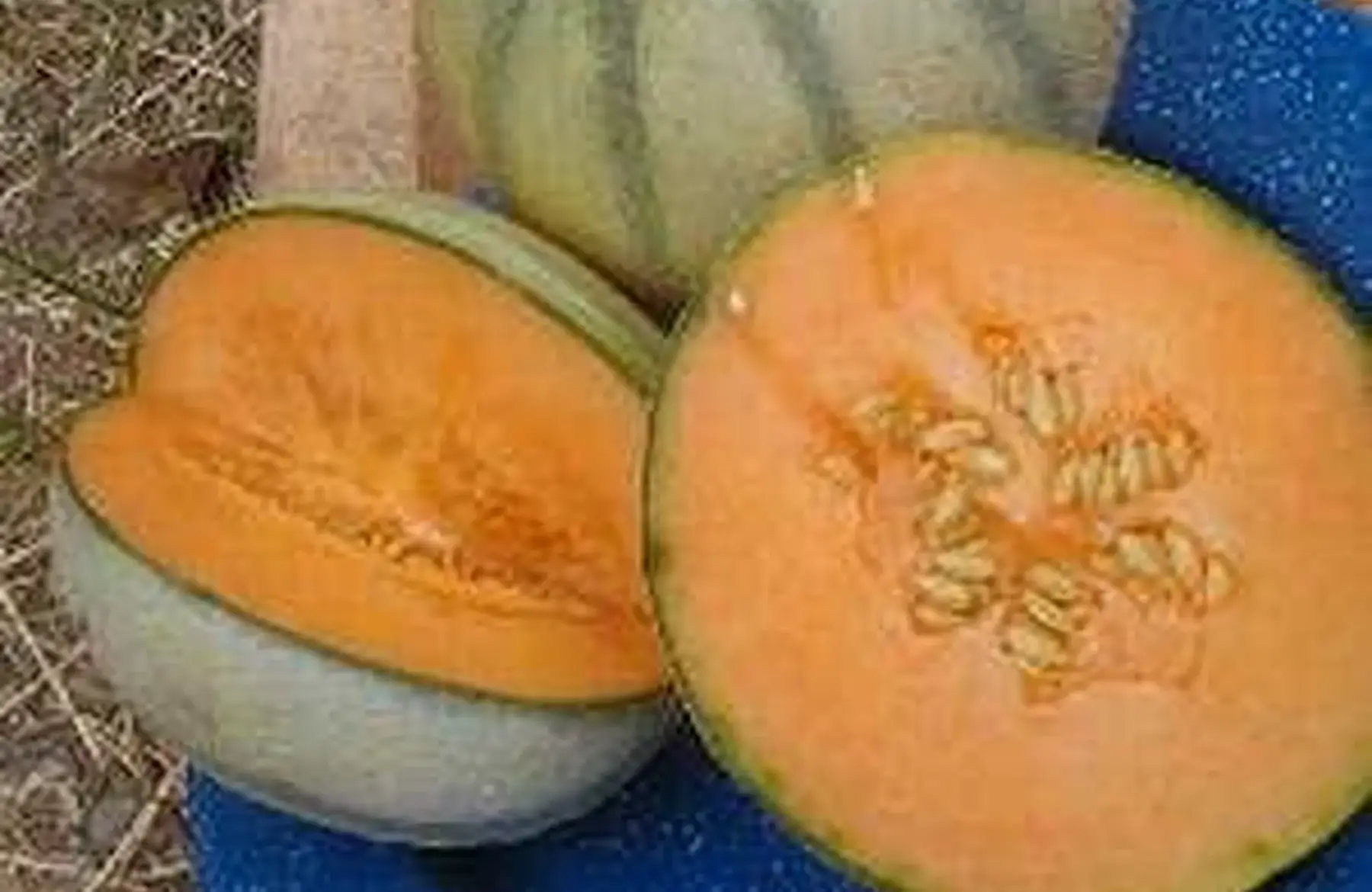 Au Jardin Gourmand