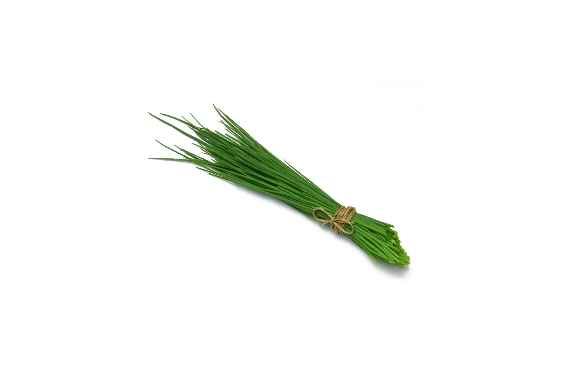 ciboulette