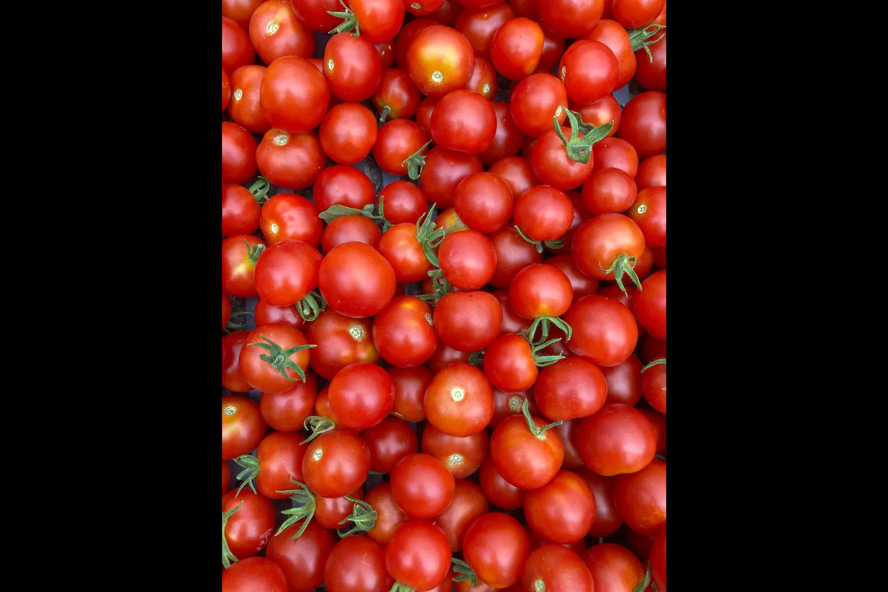 tomate cocktail