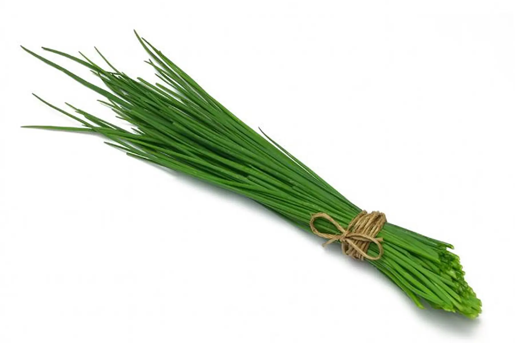 ciboulette