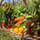 Les Jardins de Piconnat