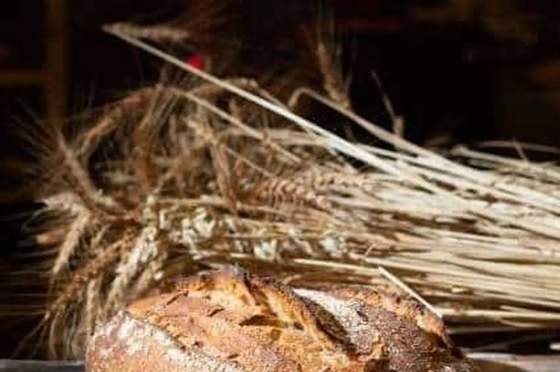 pain de campagne biologique