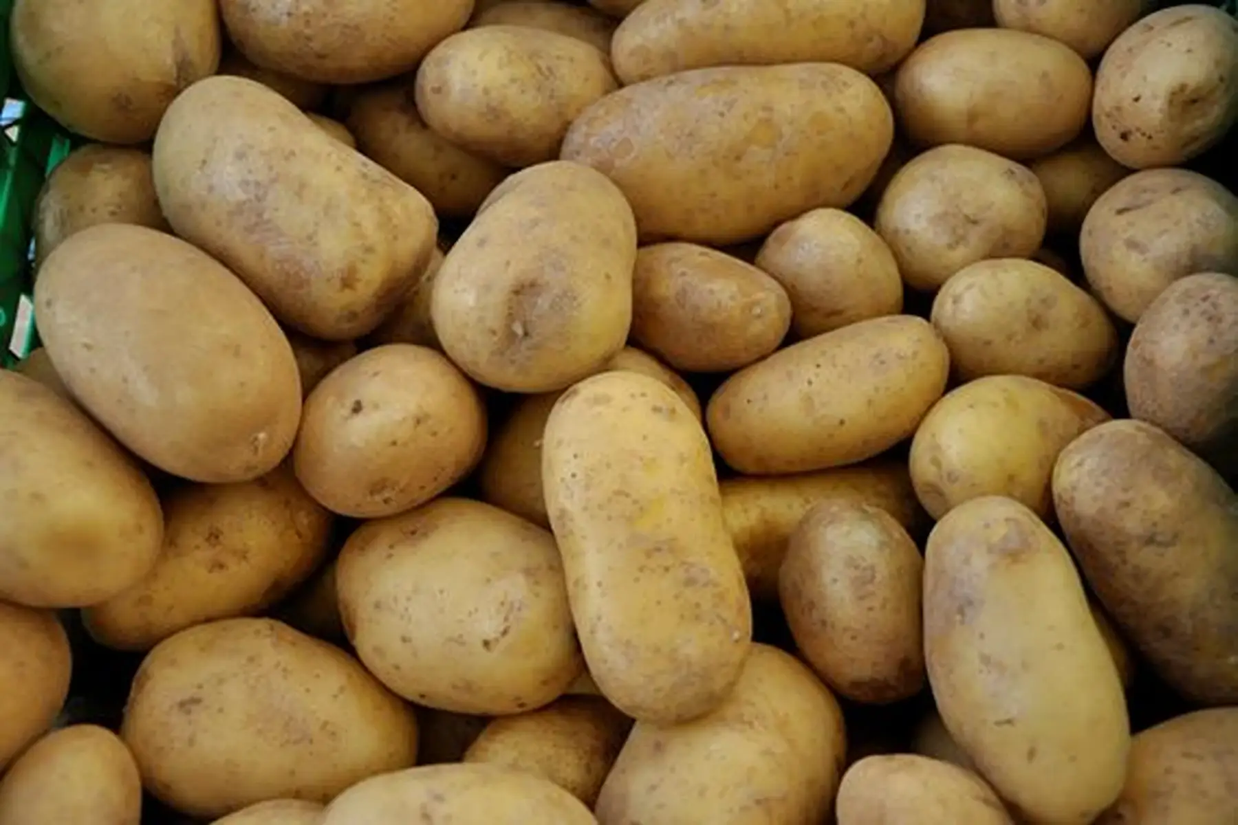 pomme de terre grenaille