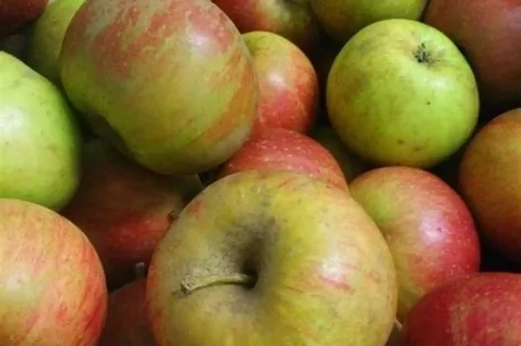 Pomme