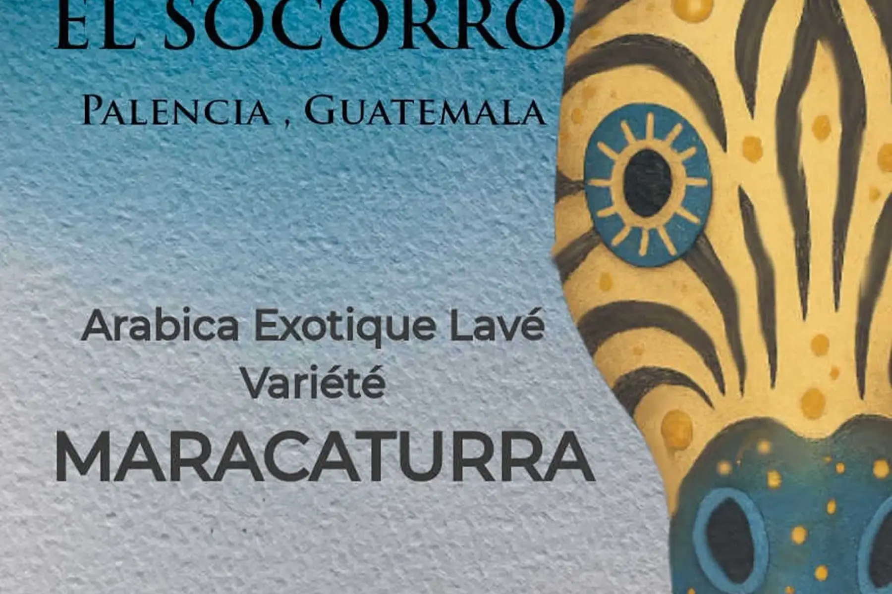 Café variete MARACATURRA- El Socorro- Fruité