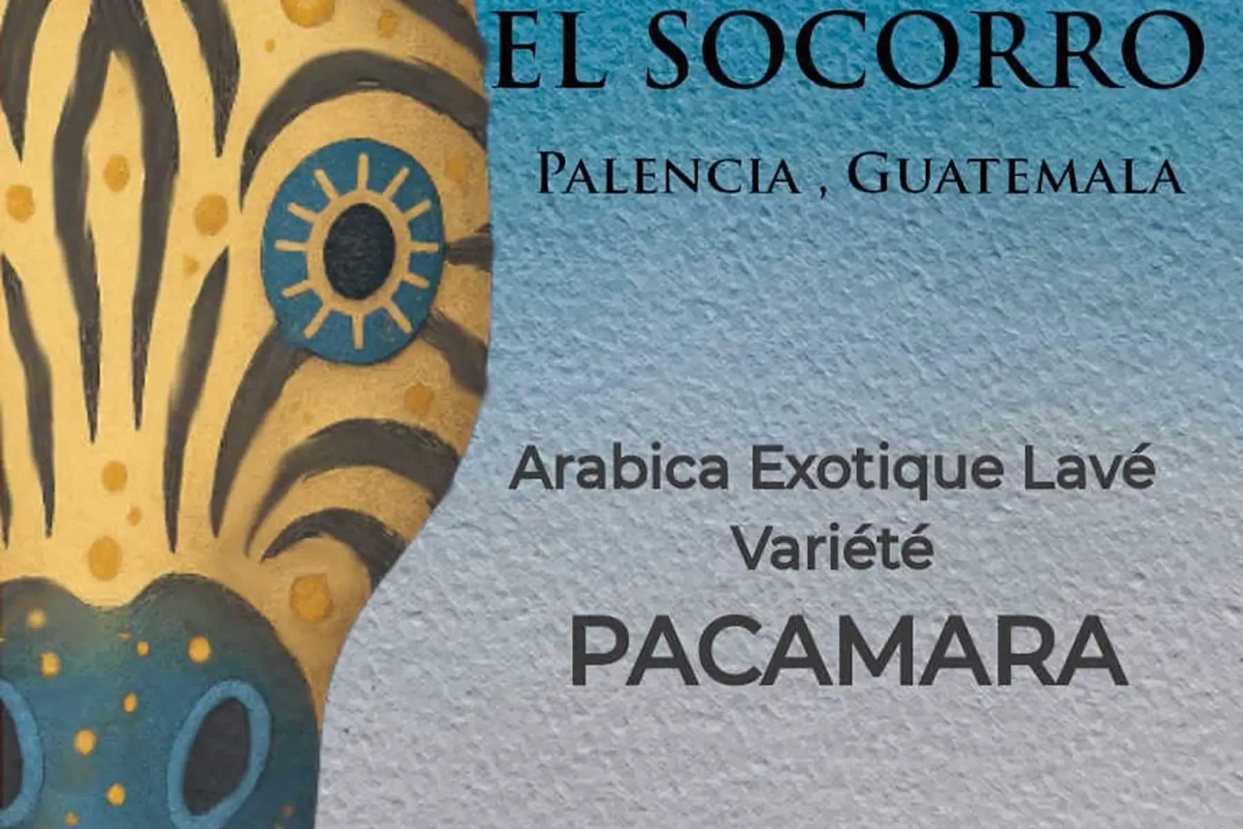 Café variete PACAMARA- El Socorro - Chocolaté