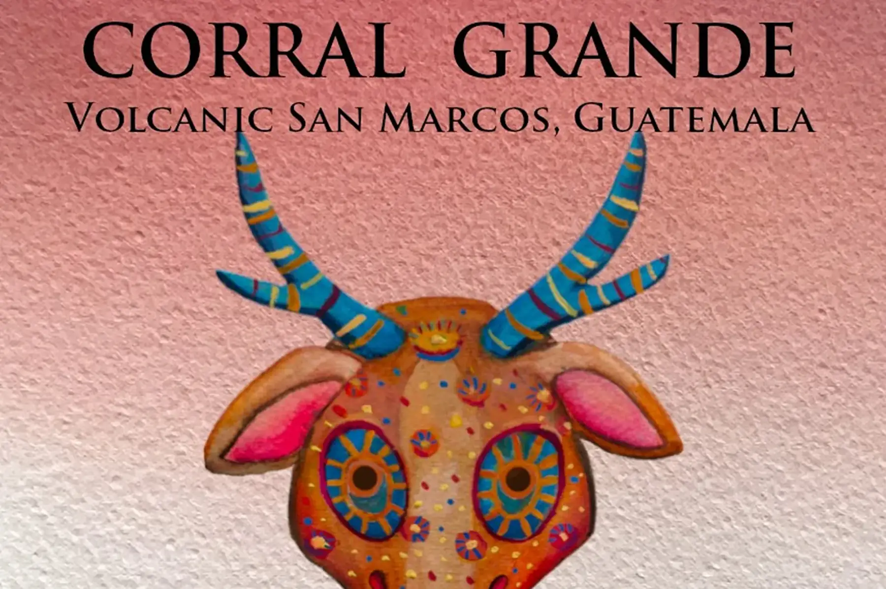 café CORRAL GRANDE 2025 - EQUILIBRE / FLORAL