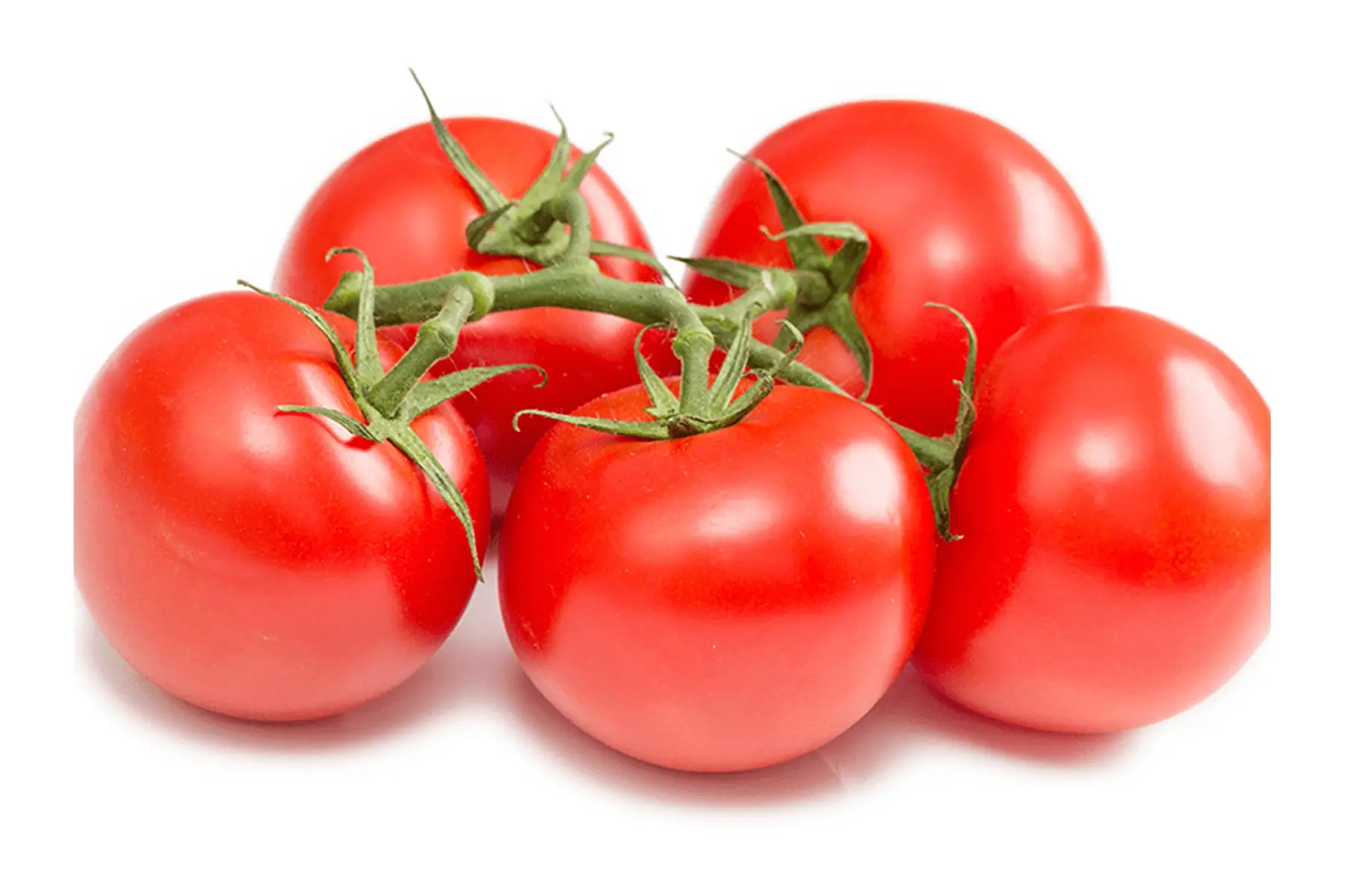tomates rondes