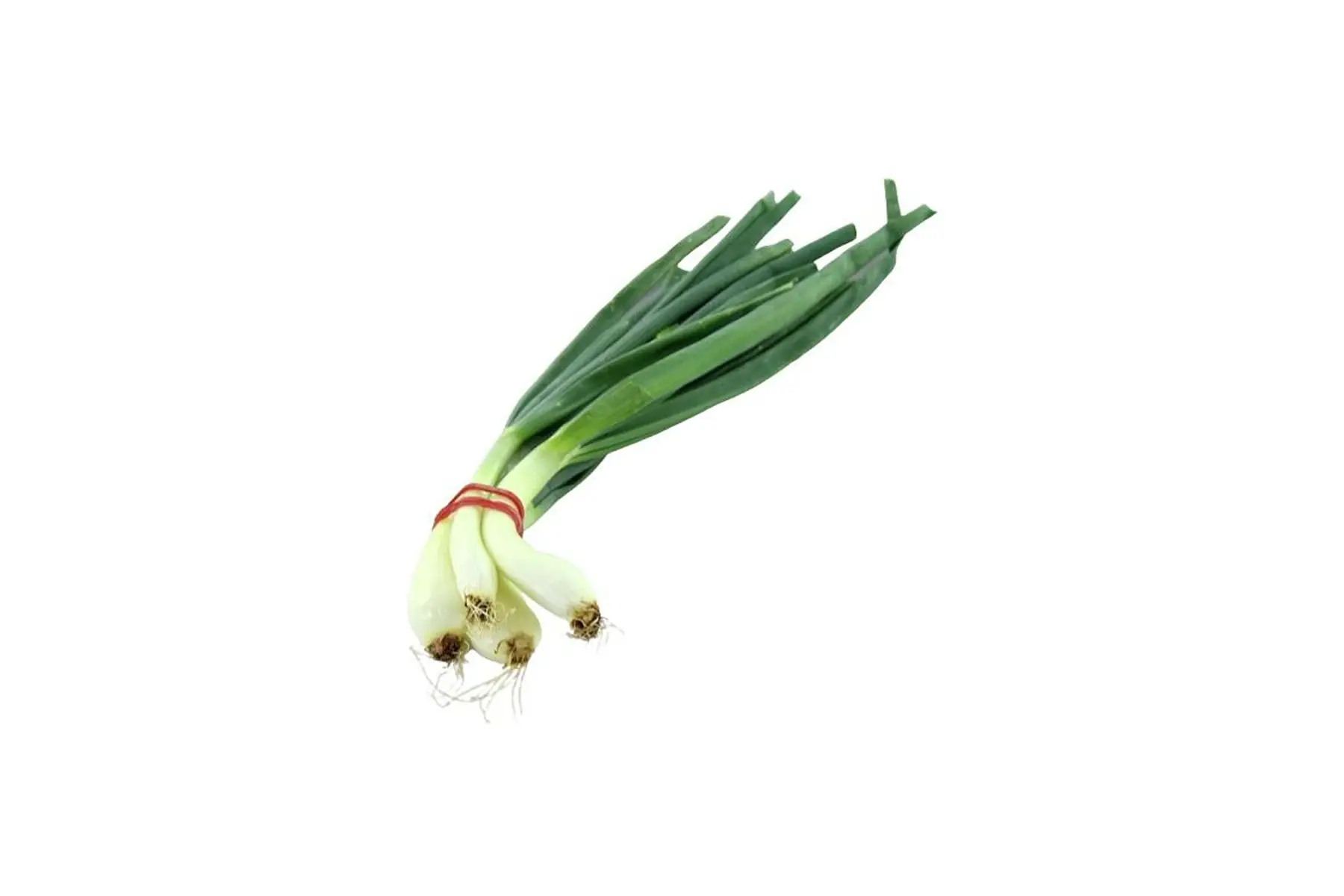 oignons nouveau (botte)