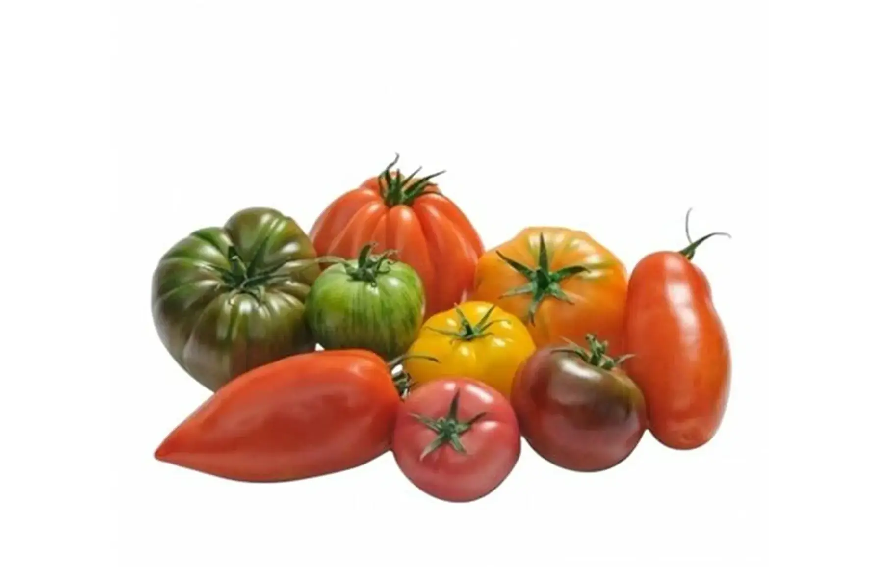 tomates anciennes