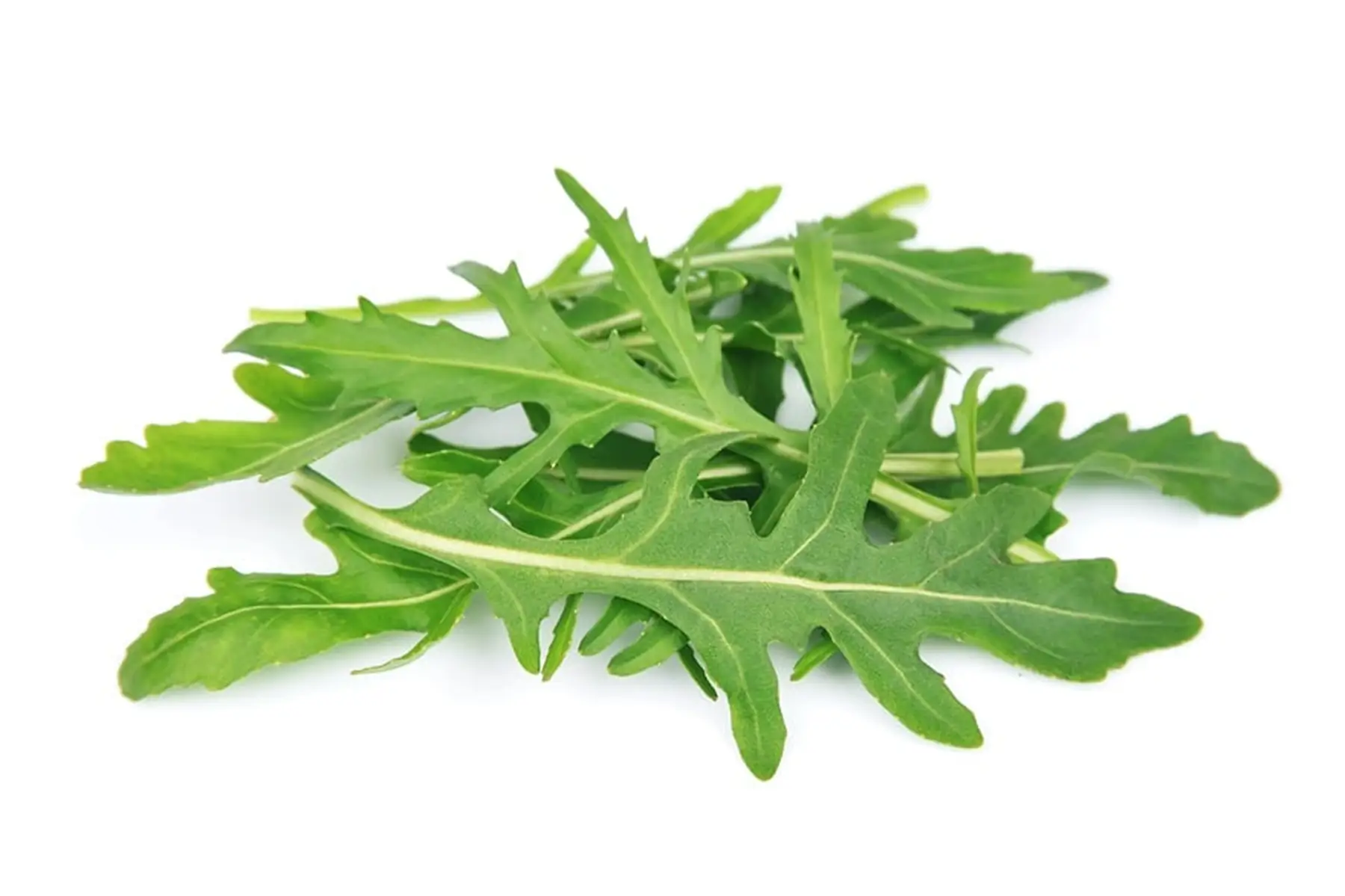 Roquette