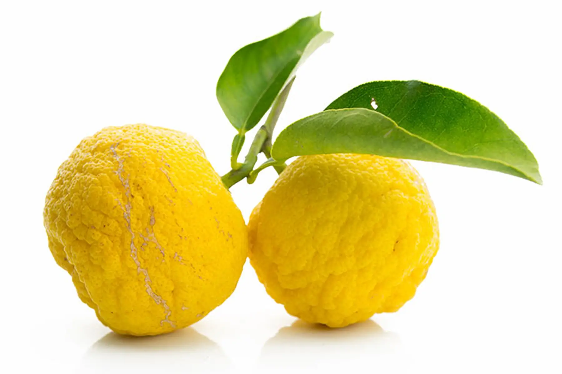 Citron Yuzu