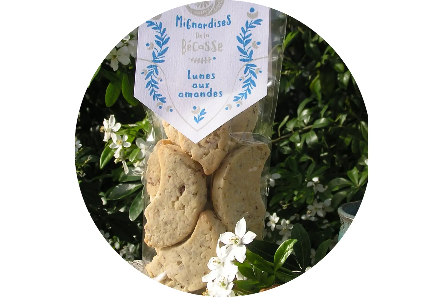 Les Biscuits de la Bécasse
