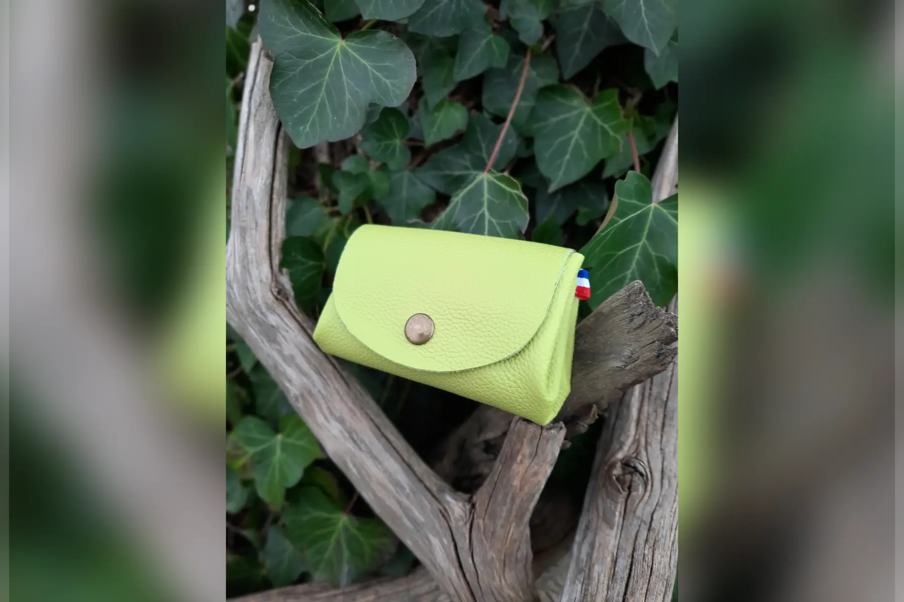 Porte monnaies" vert"