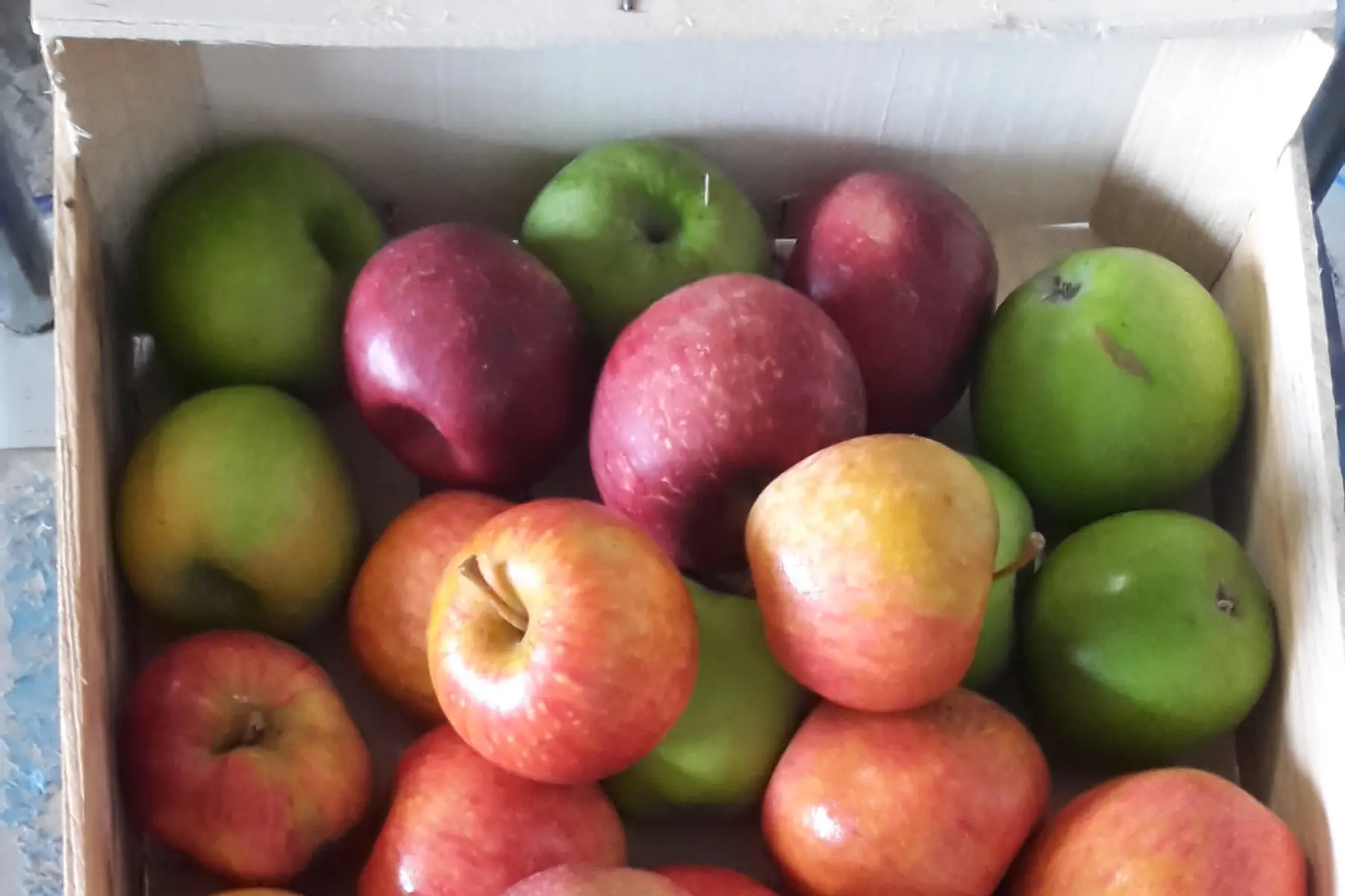 cageot de pommes 5kg