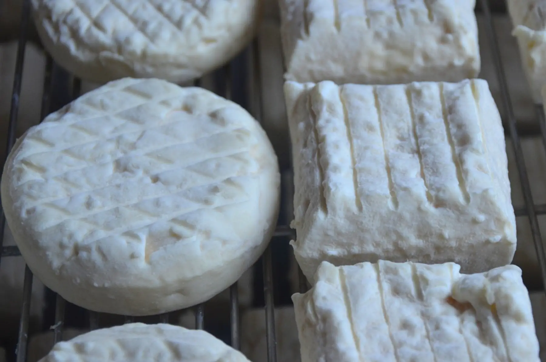 rond ou carré mi-frais