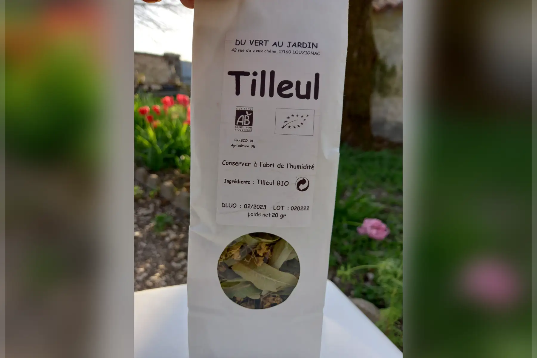 tisane de tilleul
