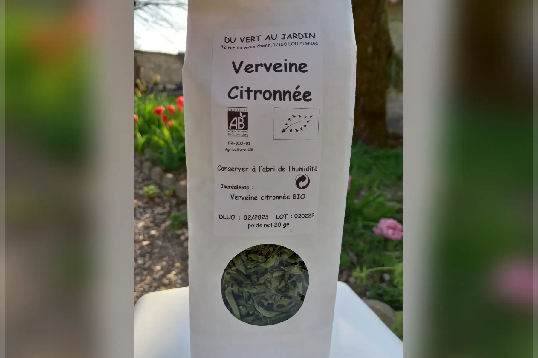 tisane de verveine