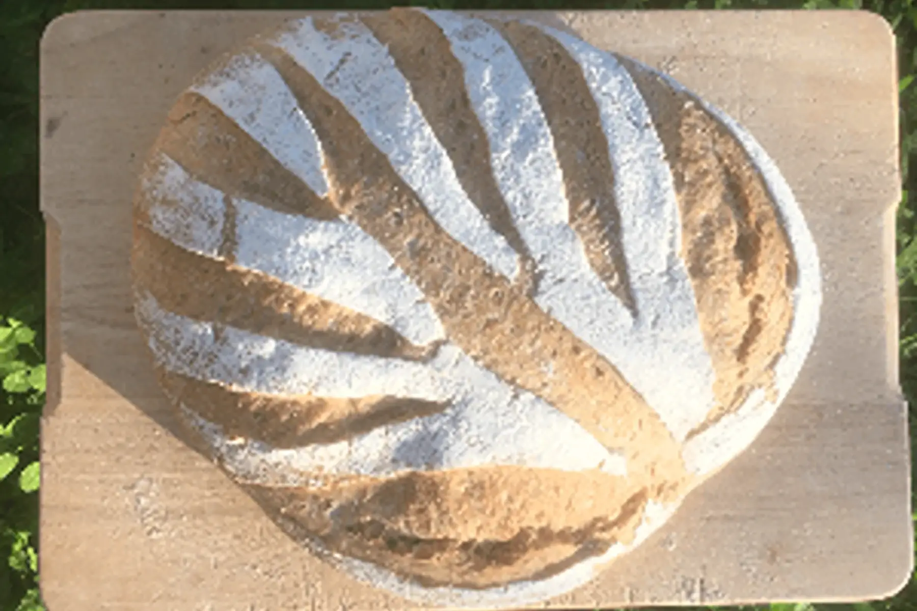 pain de campagne 500g