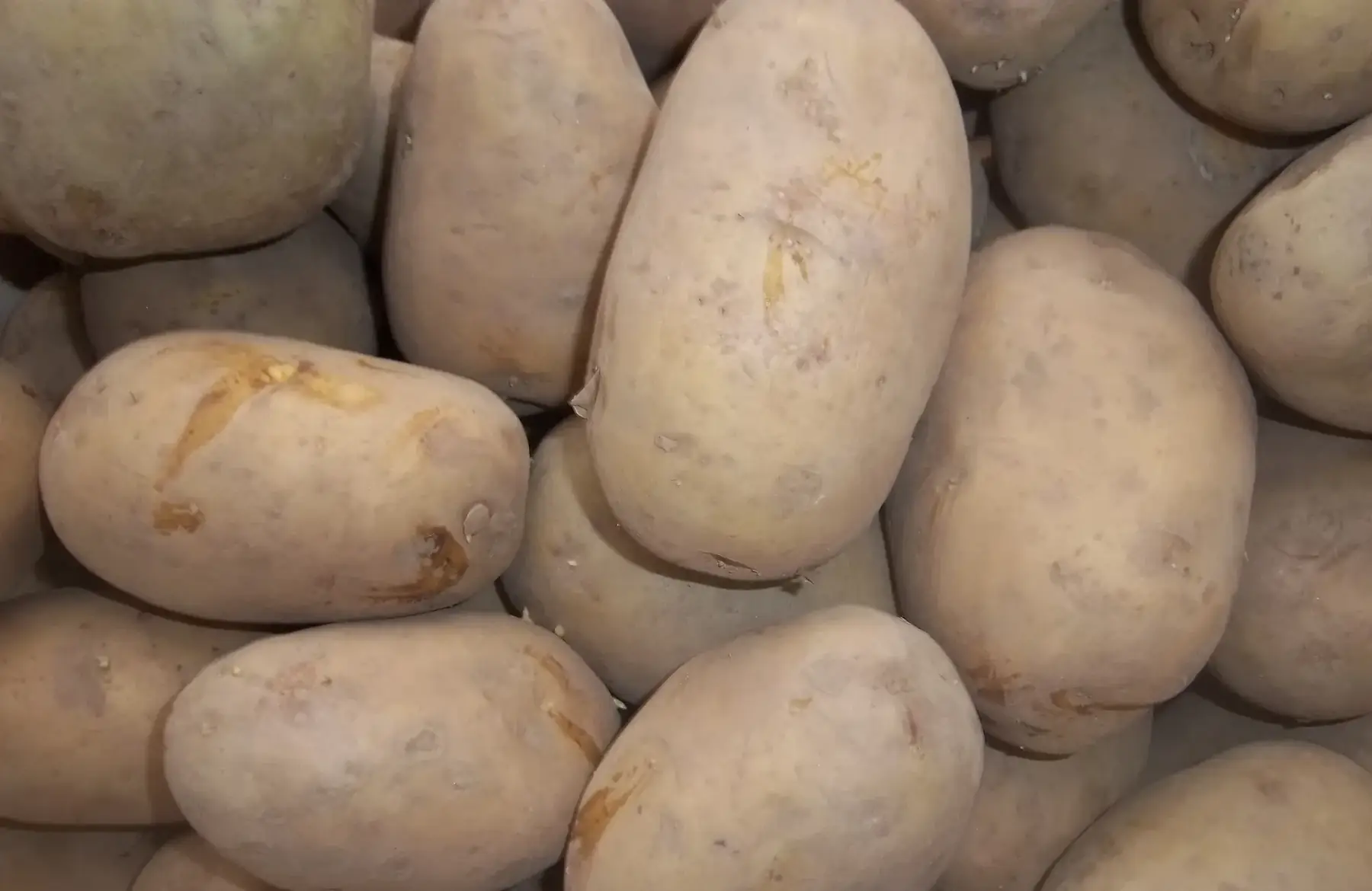 pomme de terre maïwen chaire tendre 1kg