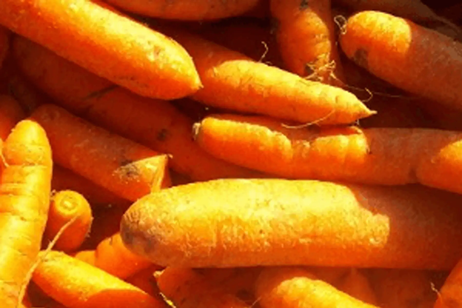 carottes 1kg