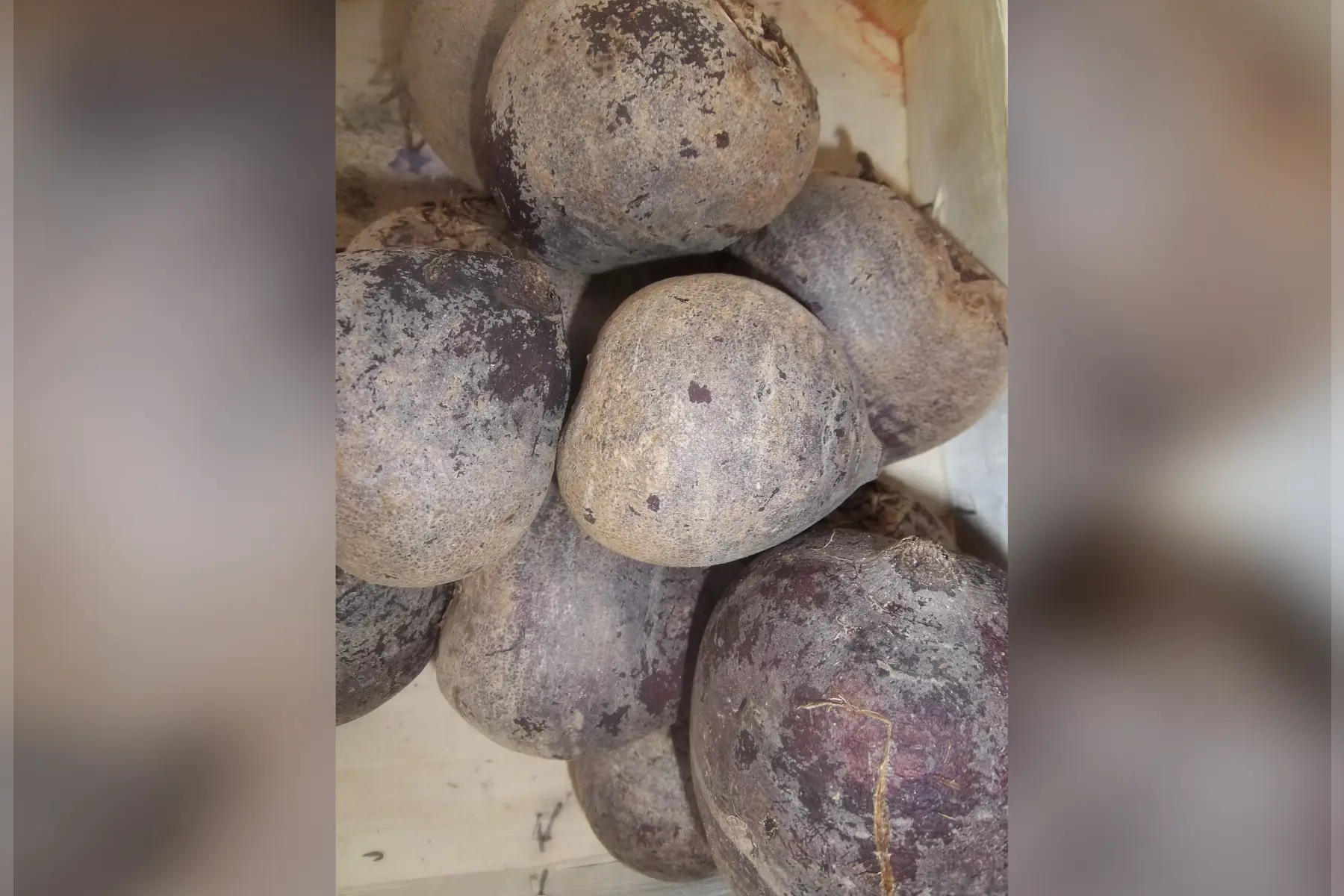 500g de betteraves rouges