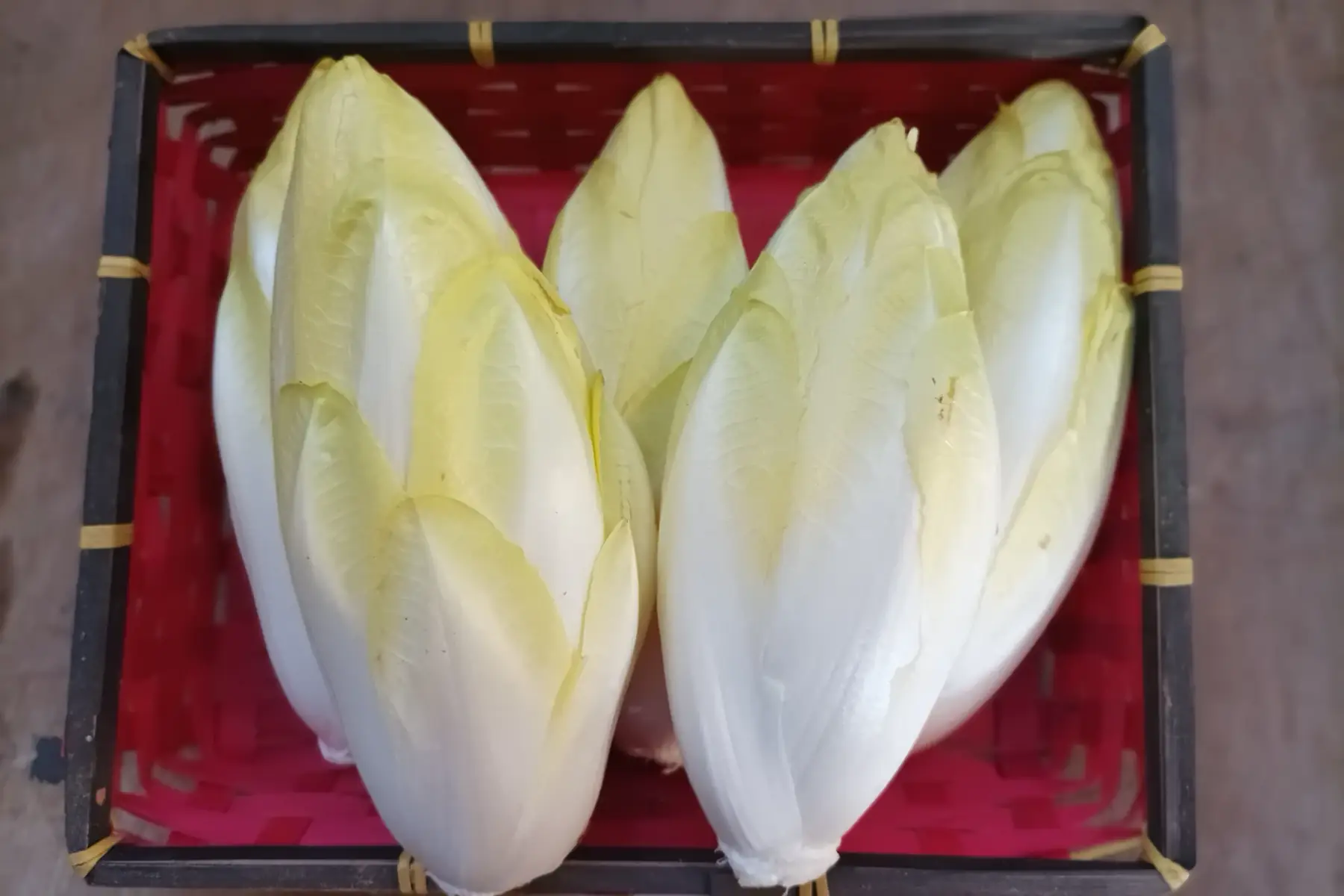 endive