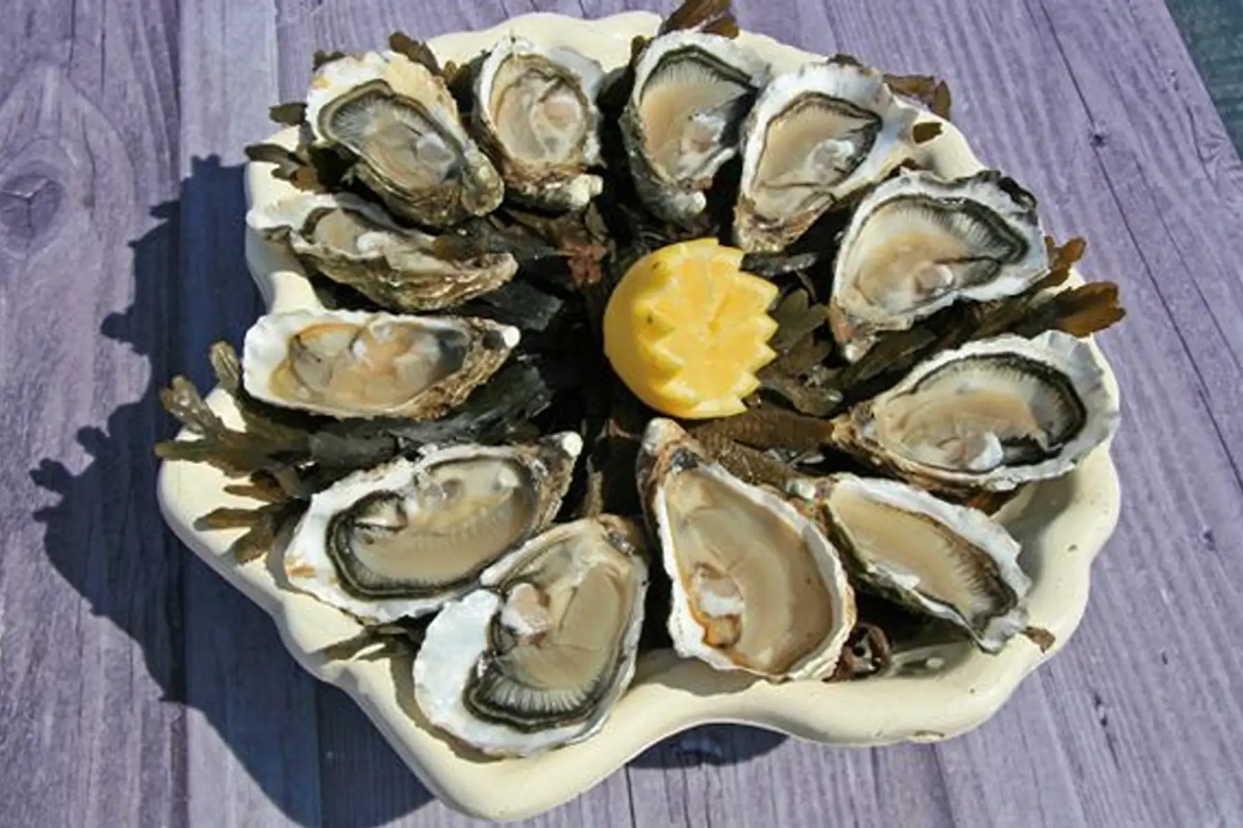 HUITRES DE L'ILE DE SENIZ