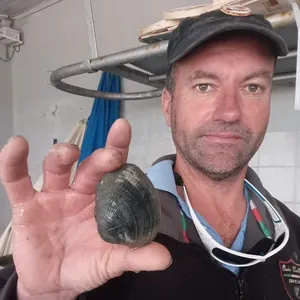 HUITRES DE L'ILE DE SENIZ