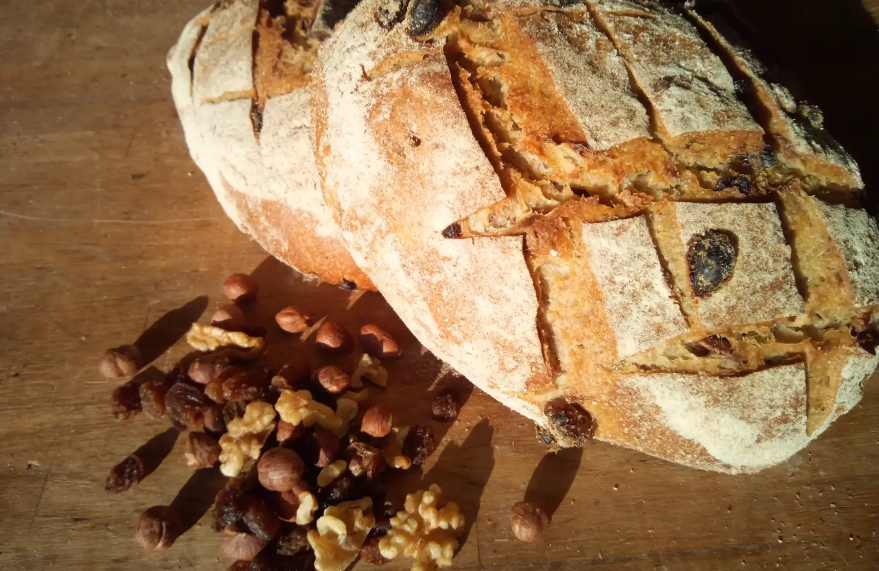 pain aux noix / noisettes / raisins bio