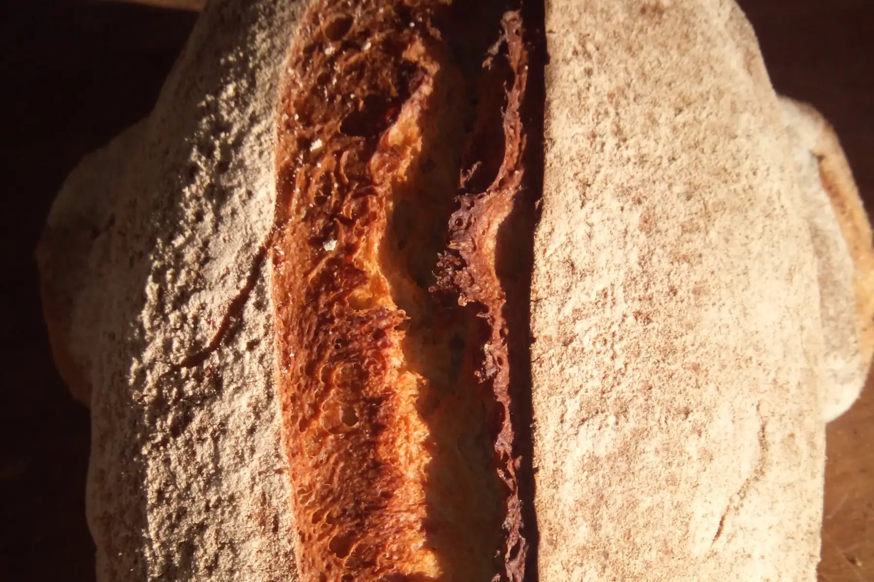 pain demi complet bio