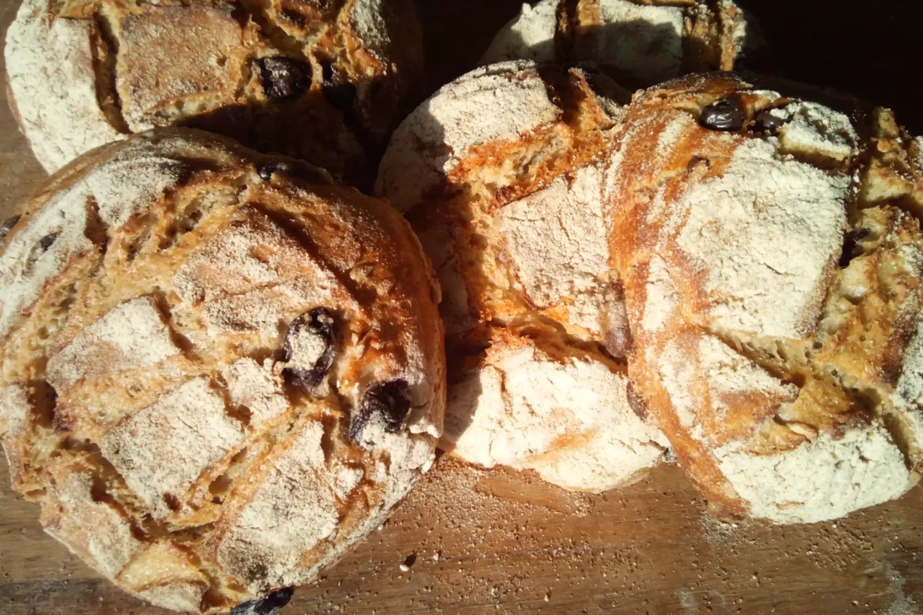 pain olive/tournesol  bio