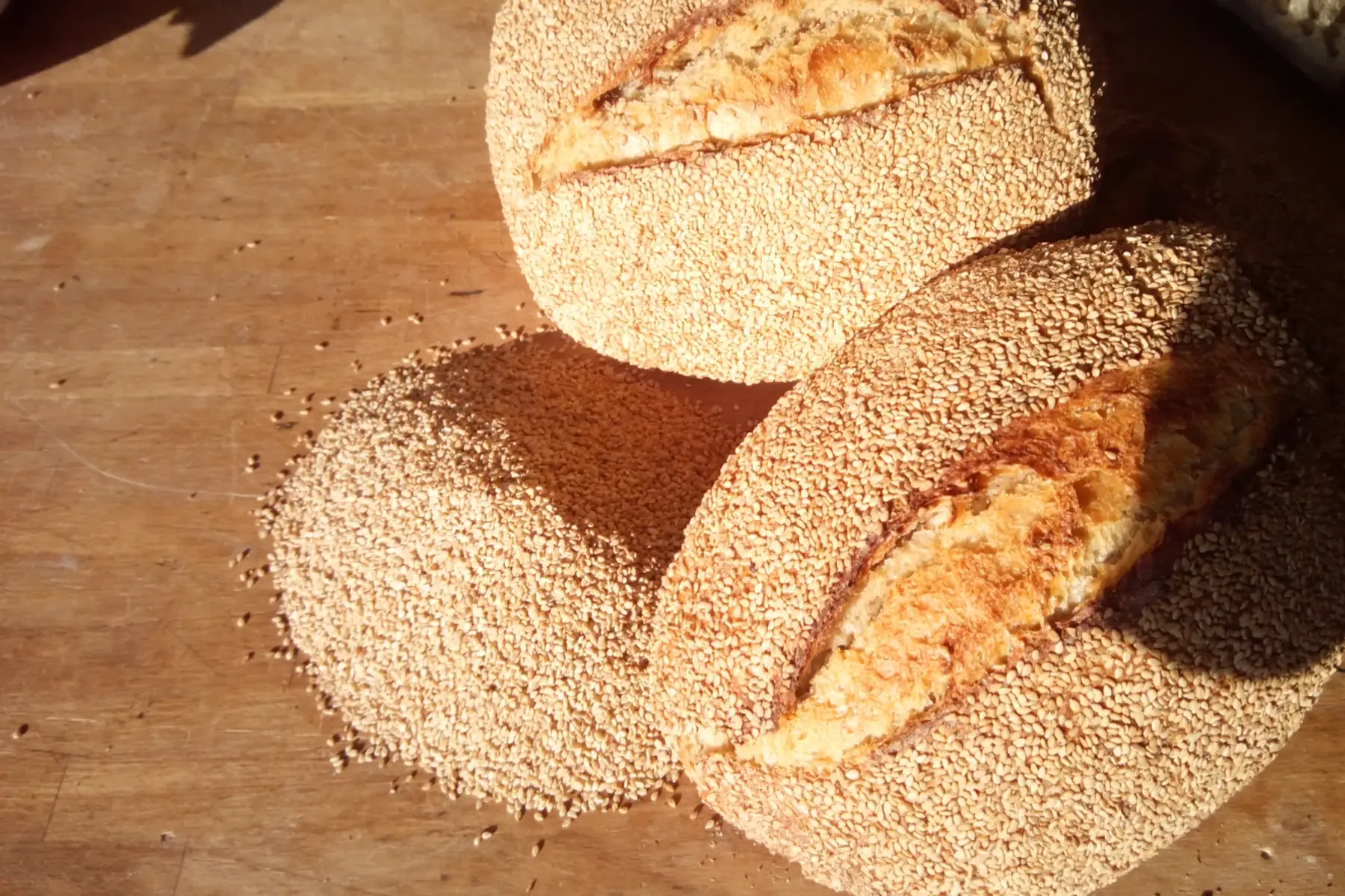 pain aux graines de sesame bio