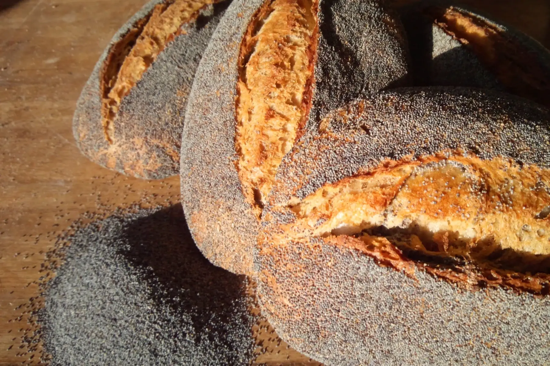 pain aux graines de pavot bio