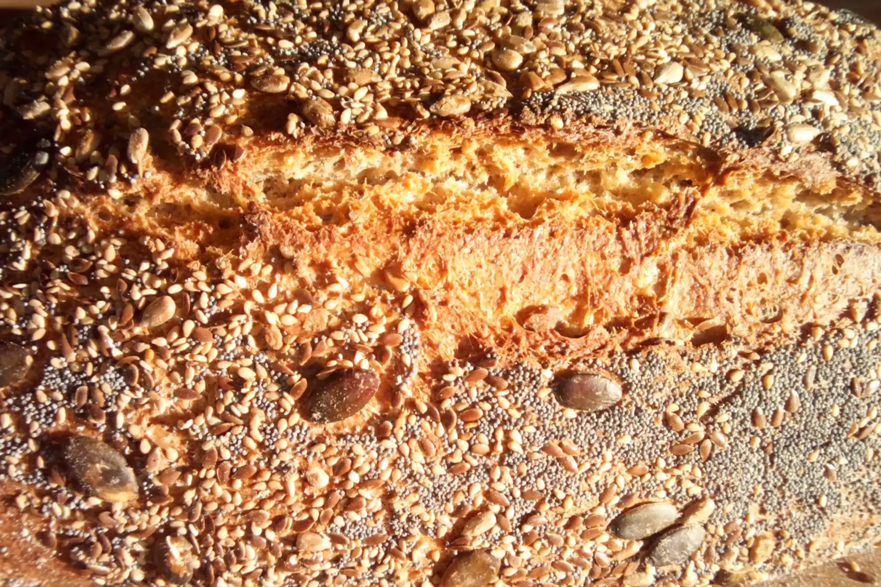 pain multi graines bio