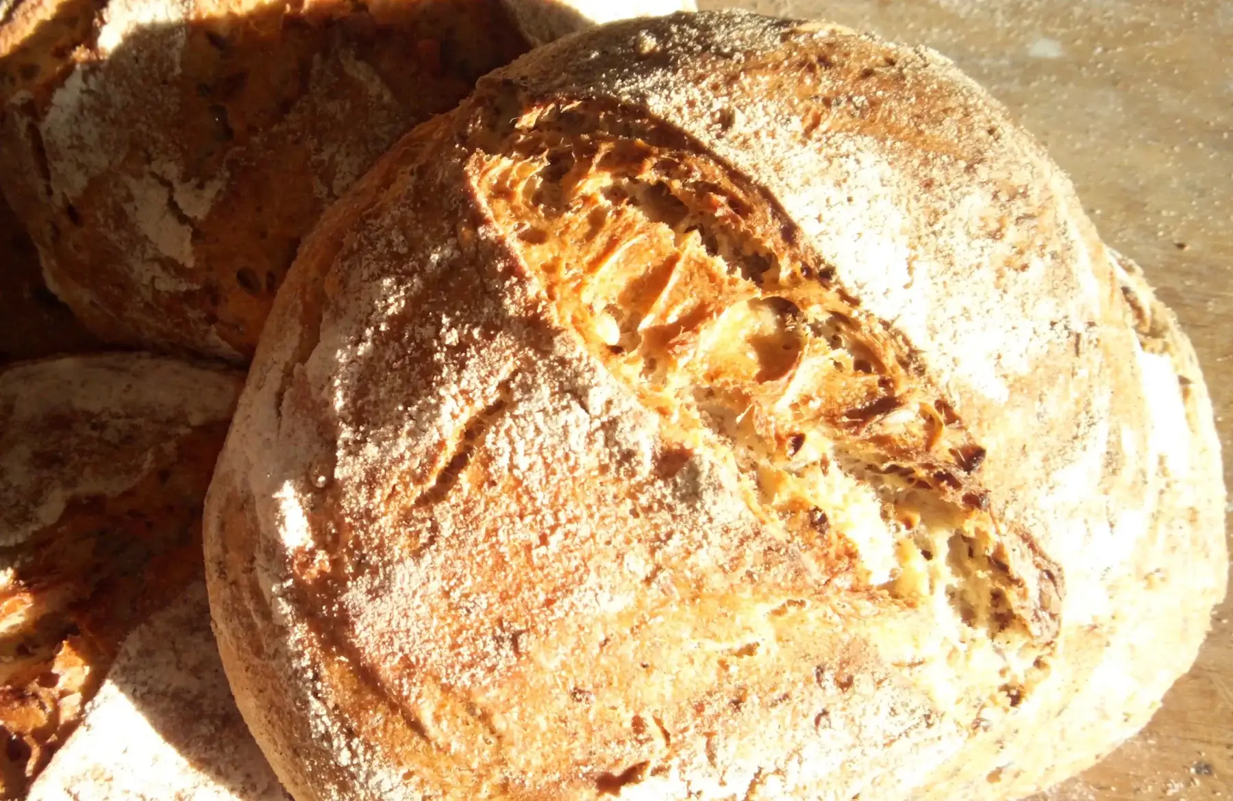 pain petit epeautre bio