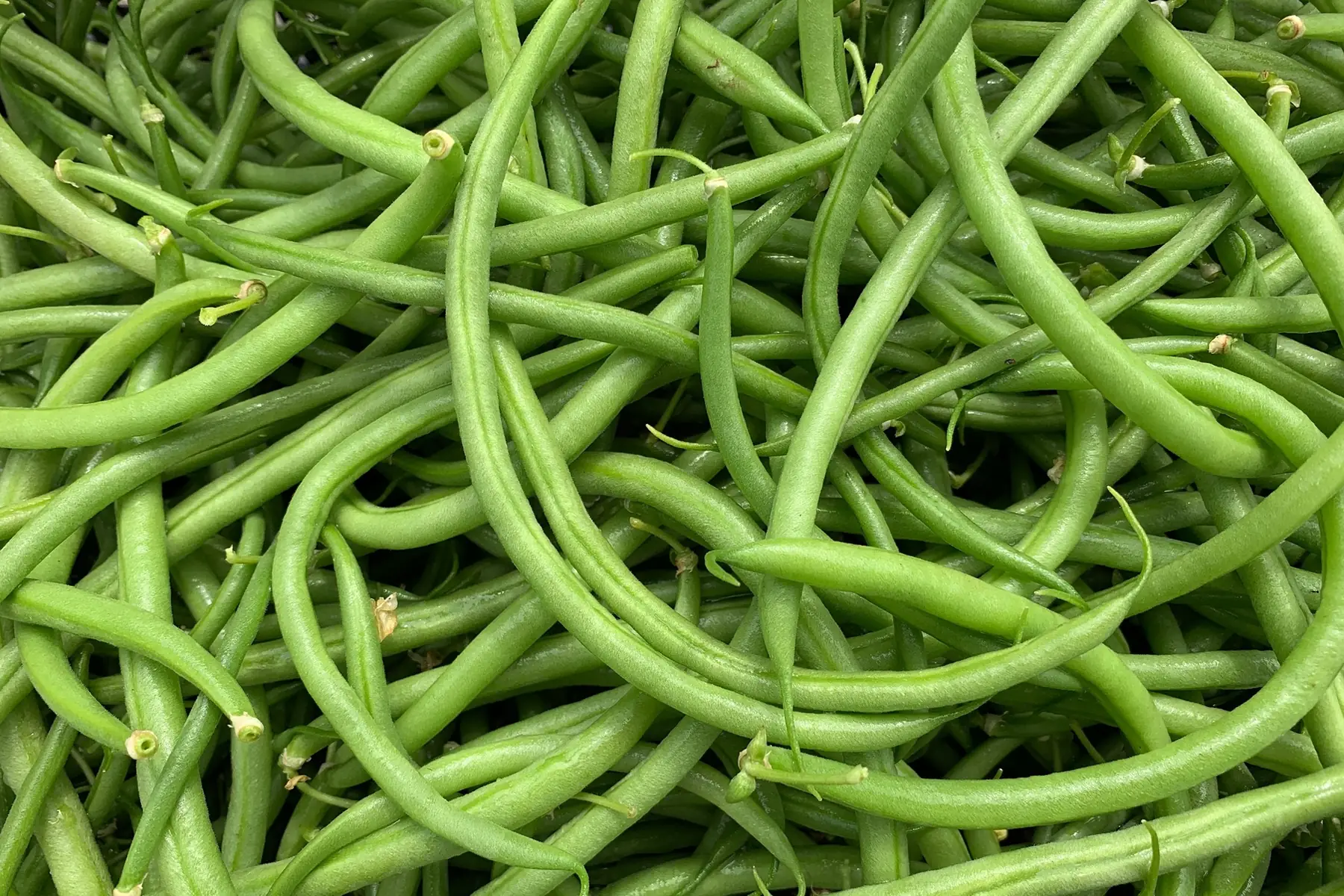haricots verts