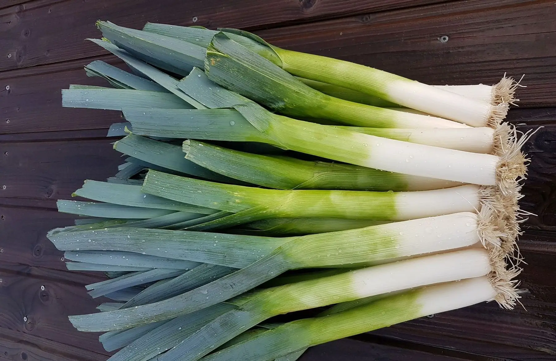poireaux