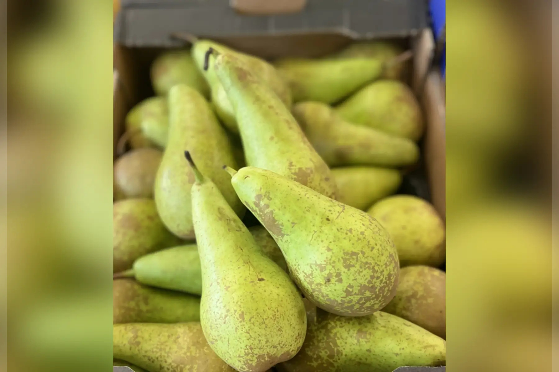 poire conférence x 1 kg