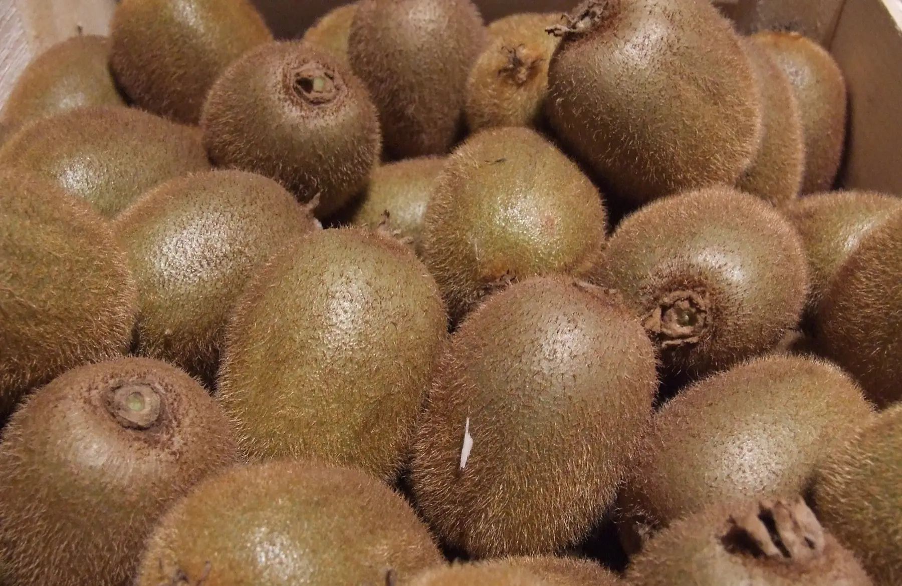 kiwi (calibre classique) x 1 kg